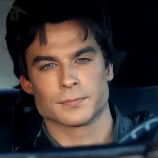 🍸 Ian Somerhalder acteur, beroemdheid, portret, man, auto telegram sticker