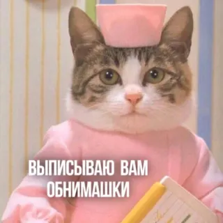 🚑 ВЫПИСЫВАЮ ВАМ ОБНИМАШКИ แมว, พยาบาล, กอด, สัตว์, ลูกแมว, น่ารัก, สติกเกอร์ telegram sticker