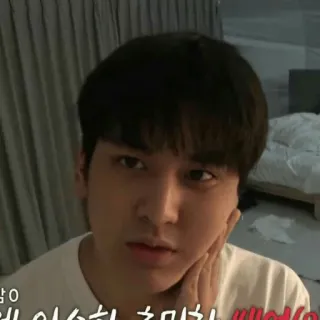 👽 아닌 이순히 챙미해 ㅆㅂㄴㅇ? coreano, pegatina, expresión facial, persona, hombre telegram sticker