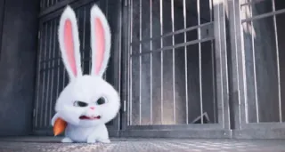 🐰 Snowball The Secret Life of Pets conejo, animal, dibujo animado, lindo, enojado, mascota, conejito whatsapp sticker