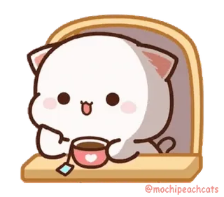 ☺️ 고양이, 차, 귀여운, 카와이, 동물 whatsapp sticker