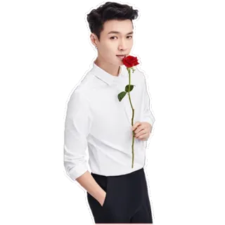 🌹 uomo, fiore, rosa, casual, giovane, persona, maschio telegram sticker
