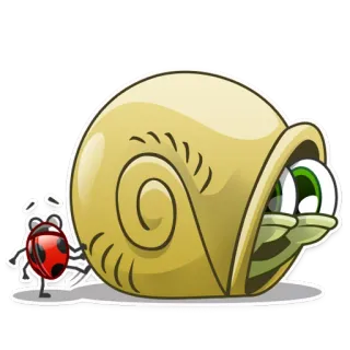 👀 escargot, coccinelle, dessin animé, animal, mignon, insecte telegram sticker