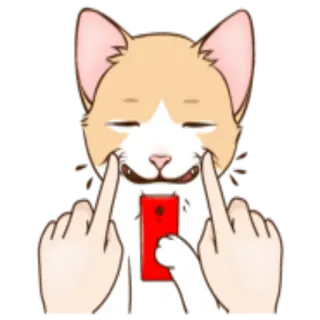 😀 kucing, jari tengah, menyinggung, kasar, hewan, gestur telegram sticker