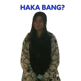 😁 HAKA BANG? kobieta, portret, pytanie, wyraz, wewnątrz, płaszcz telegram sticker