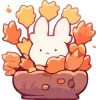 🐰