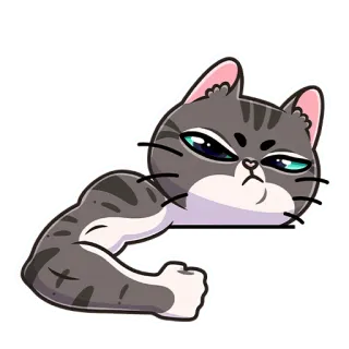 💪 kucing, otot, kuat, marah, lucu, binatang whatsapp sticker