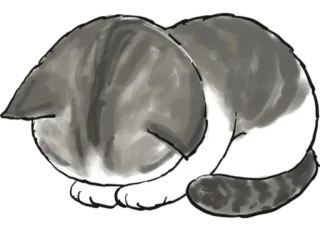 😣 gato, dormindo, animal, animal de estimação, fofo telegram sticker