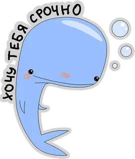 👌 хочу тебя срочно wieloryb, słodki, rosyjski, kawaii, zwierzę telegram sticker