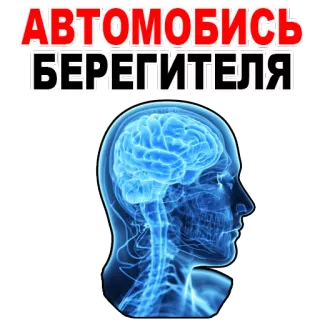 😊 АВТОМОБИЛЬ БЕРЕГИТЕЛЯ brain, mind, think, awareness, mental health telegram sticker