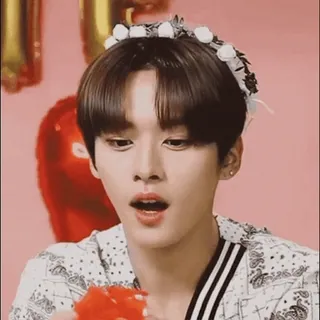 ❤️ Lee Know Lee Know, K-pop, Stray Kids, Idol, Mahkota bunga, Penyanyi Korea telegram sticker