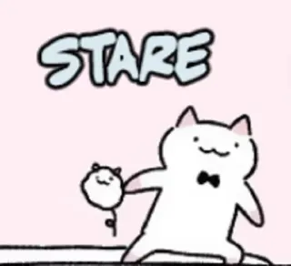 😶 STARE Katze, Starren, Meme, Lustig, Süß, Tier telegram sticker