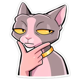 🤔 แมว, แมวสฟิงซ์, กำลังคิด, ครุ่นคิด, สงสัย, ตลก, สติกเกอร์ telegram sticker