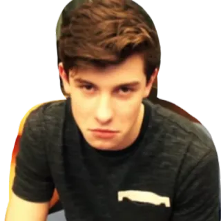 😠 Shawn Mendes shawn mendes, singer, celebrity, portrait, music, performer whatsapp sticker