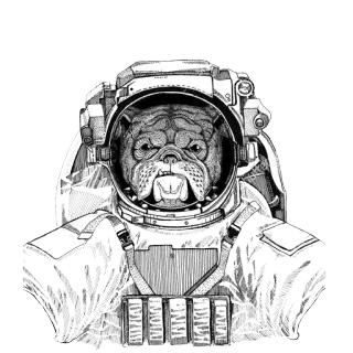 🌌 cane, astronauta, spazio, bulldog, illustrazione, animale, tuta spaziale telegram sticker