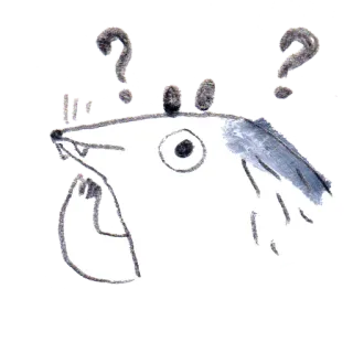 🤨 zwierzę, znak zapytania, rysunek, naklejka, kreskówka, ilustracja telegram sticker