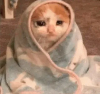 Sad cats @sticker_pack_channel — @stckrRobot telegram stickers