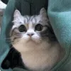 😳
