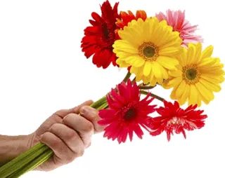 💐 fiori, bouquet, mano, gerbere, rosso, giallo, rosa telegram sticker