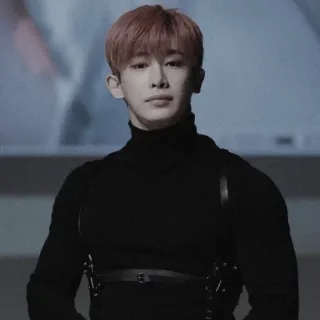 🌑 Wonho K-pop, Певец, Айдол, Знаменитость, Вонхо telegram sticker
