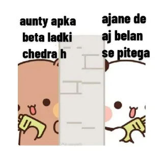🤣 aunty apka beta ladki chedra h ajane de aj belan se pitega bears, cartoon, cute, funny, meme whatsapp sticker
