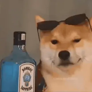 Shiba Inu Vimdeos #3 @LegendaryKeys telegram stickers