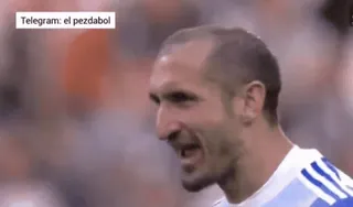 😜 Telegram: el pezdabol soccer, football, sport, télégramme, mème, célébration whatsapp sticker