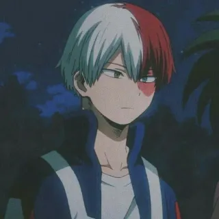 🇨🇦 Shoto Todoroki My Hero Academia Anime, Manga, My Hero Academia, Shoto Todoroki, Héros, Superpouvoir, Personnage telegram sticker