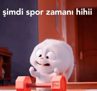 💪 şimdi spor zamanı hihii 운동, 운동, 피트니스, 아령, 토끼, 만화 whatsapp sticker