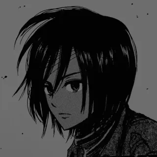 🤨 Mikasa Ackerman Attack on Titan Anime, Manga, Charakter, Mikasa, Ackerman, Attack on Titan telegram sticker