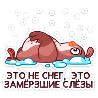 ❄️ ЭТО НЕ СНЕГ, ЭТО ЗАМЁРЗШИЕ СЛЁЗЫ rusia, salju, menangis, air mata, stiker, hewan telegram sticker