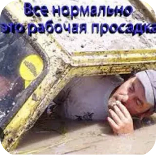 🖼 Все нормально, это рабочая просадка telegram sticker