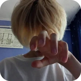 ✋ telegram sticker