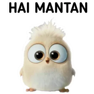 🙃 HAI MANTAN pájaro, lindo, saludo, dibujo animado, animal, meme telegram sticker