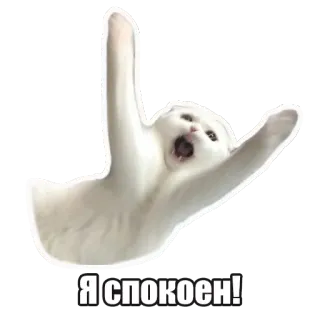 😤 Я спокоен! chat, sticker, mème, drôle, russe telegram sticker