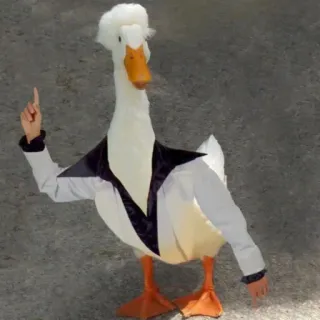 ☝️ duck, chef, animal, costume, cook whatsapp sticker