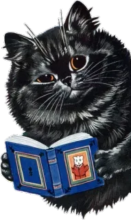 👀 chat, lecture, livre, animal, animal de compagnie, bibliothèque telegram sticker