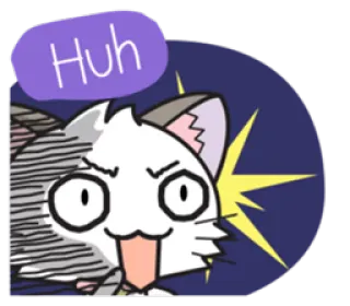 😱 Huh gato, hã?, engraçado, confuso, reação, meme, animal whatsapp sticker