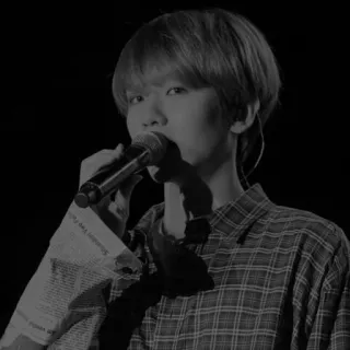🇦🇹 singer, microphone, music, performance, portrait, black and white telegram sticker