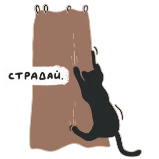 😠 СТРАДАЙ. cat, scratch, curtain, suffer, russian, animal whatsapp sticker