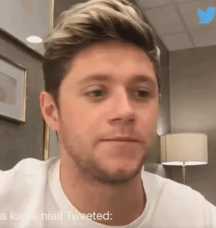 🎸 Niall a loves niall Tweeted: Niall, Celebridade, Retrato, One Direction telegram sticker