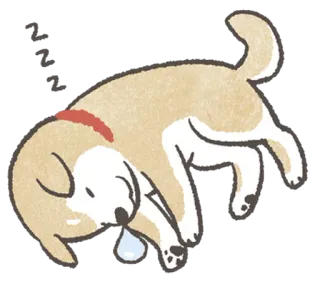 💤 cachorro, dormindo, animal, animal de estimação, fofo, shiba inu whatsapp sticker