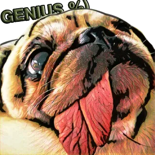 PUGSTERS whatsapp stickers