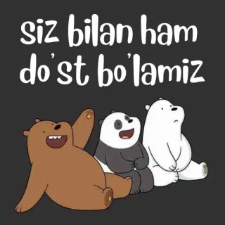 🐻‍❄️ siz bilan ham do'st bo'lamiz We Bare Bears, dessin animé, amitié, mignon, ours, Cartoon Network whatsapp sticker