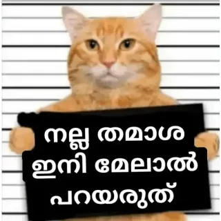 😂 നല്ല തമാശ ഇനി മേലാല് പറയരുത് cat, mugshot, arrest, funny telegram sticker