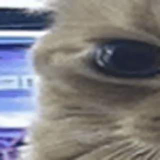 😾
