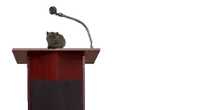 😶 cat, podium, microphone, politics, cute, speaker telegram sticker