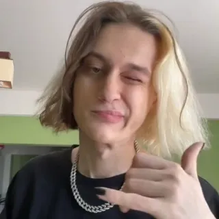 🤙 telegram sticker