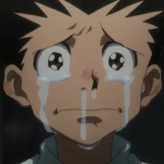 😭 Gon Freecss Hunter x Hunter Anime, weinen, traurig, Gon, Hunter, Hunter x Hunter telegram sticker