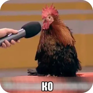 🫥 KO telegram sticker